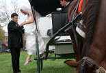 Horse and Carriage